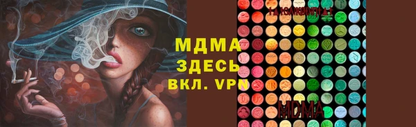 прущие грибы Волоколамск