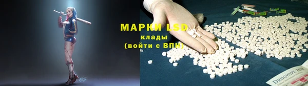 прущие грибы Волоколамск