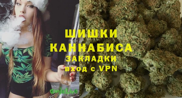 прущие грибы Волоколамск