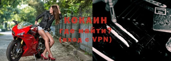 прущие грибы Волоколамск