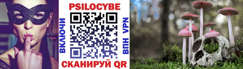 Псилоцибиновые грибы Psilocybe МЕГА ТОР Лысьва дарнет шоп